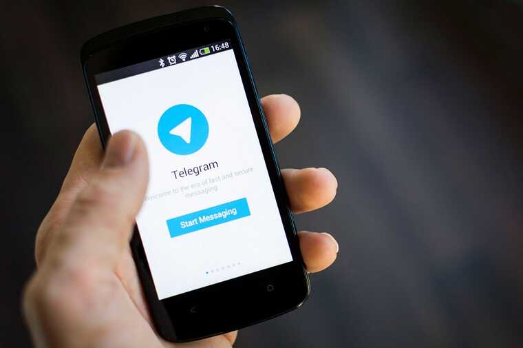 Депутат из Курска потребовал заблокировать Telegram после теракта в «Крокусе»