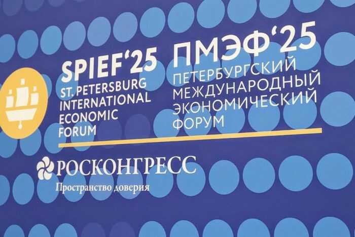 Как ВЭБ.РФ стал символом неэффективности с хищением 35 миллиардов рублей и провальными программами