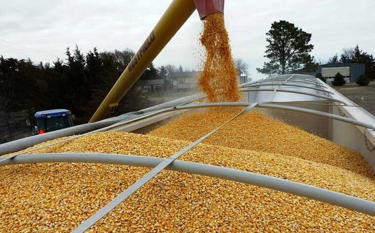 A Danish affiliated company is helping Russia export grain from Ukrainian territories annexed by the Russian Federation
