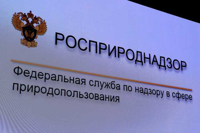 Мэрия Салехарда получила предостережение за свалки отходов у паромной переправы на Оби