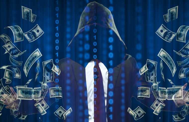 Fraud schemes: the role of social networks, IT platforms, and shell companies in international financial fraud