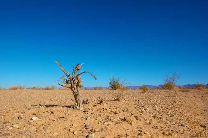 Attack on the climate: how Gulf states are spreading environmental disinformation